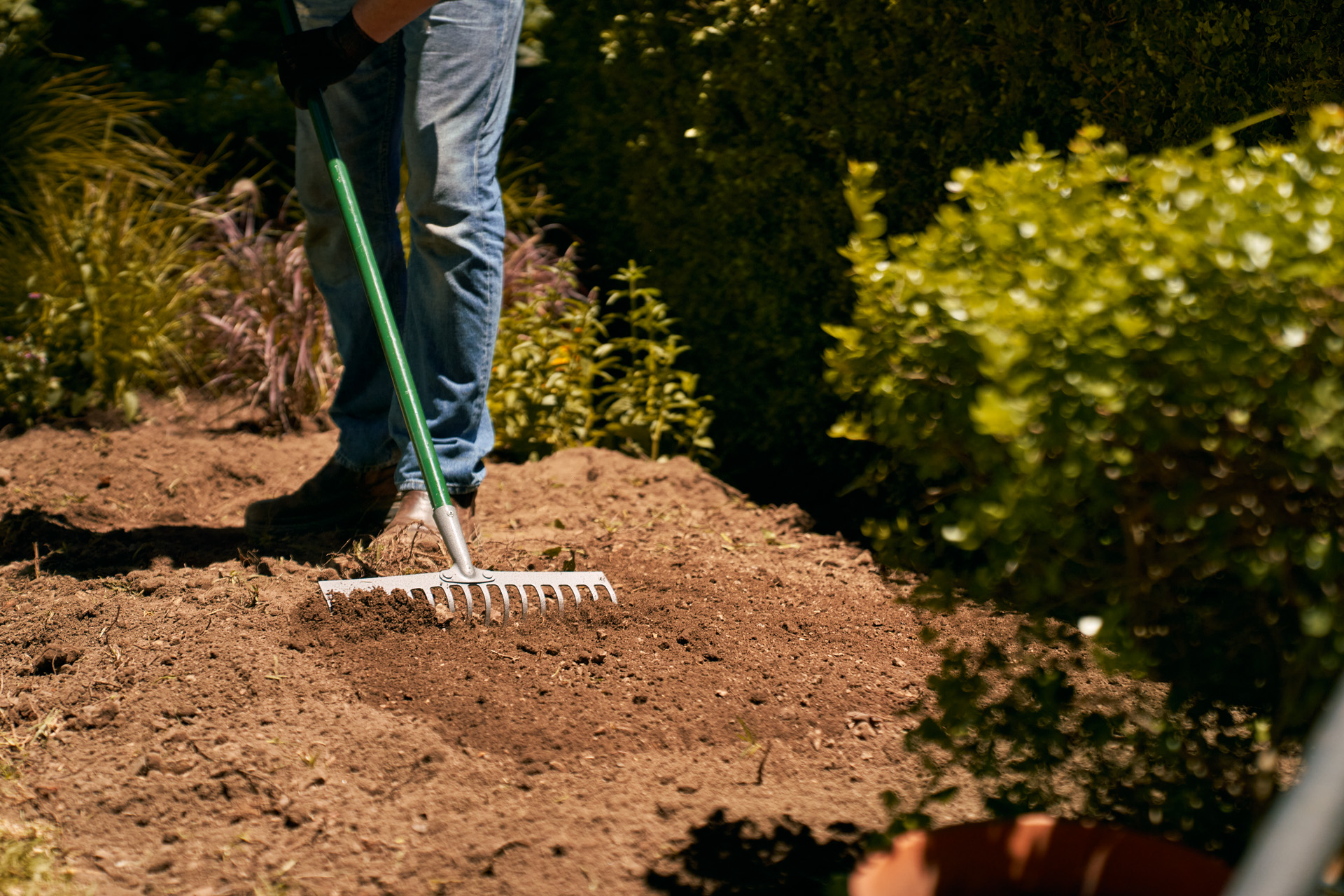 Una persona usa un rastrillo para nivelar el suelo en la preparación de parterres de flores para invierno.