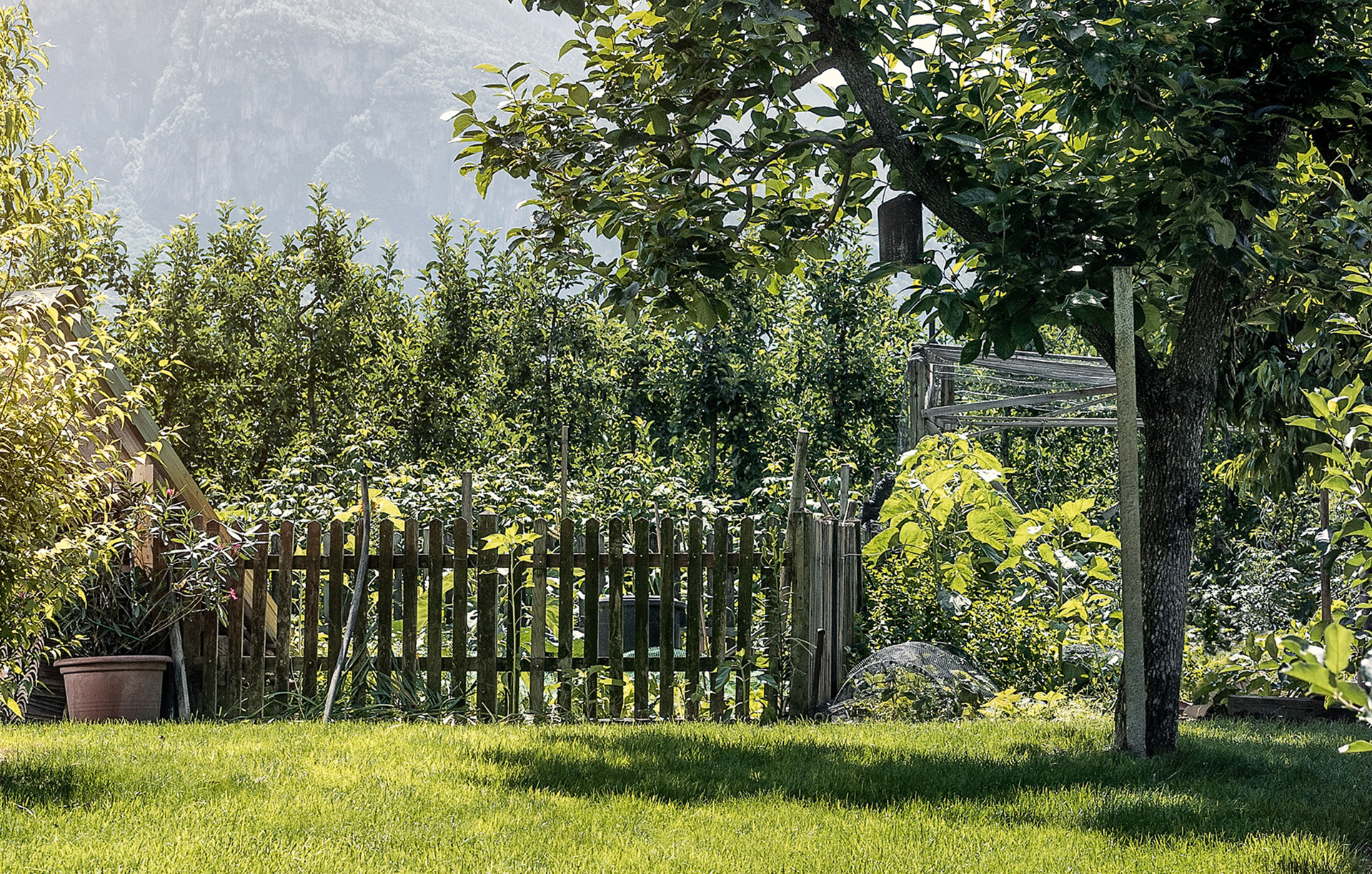 Jardines pequeños con superficie de césped en la parte delantera, árboles solitarios a la izquierda y a la derecha, valla de jardín en el centro, árboles y montañas en el fondo