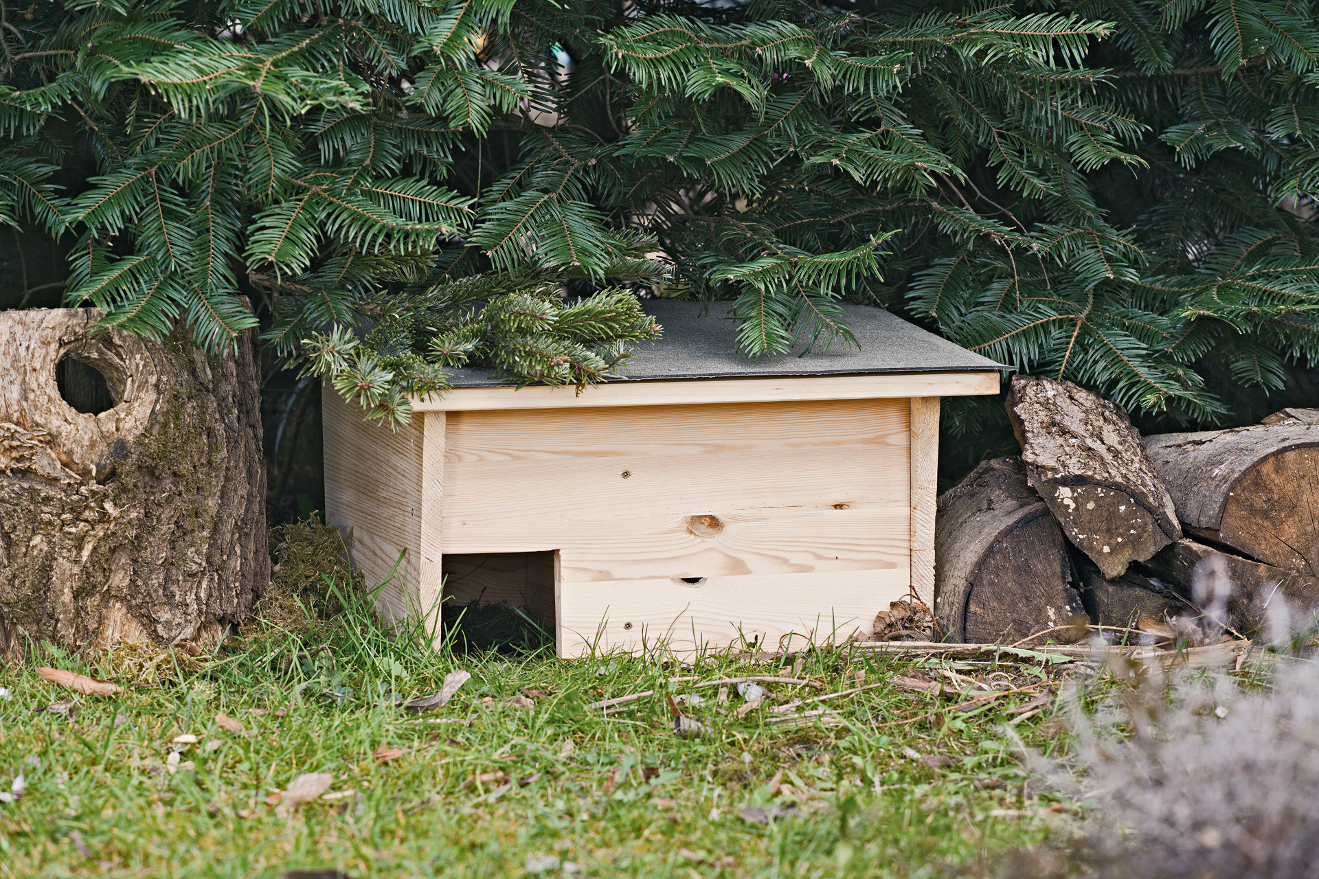 Proyecto de bricolaje de una casa para erizo casera en un jardín, debajo de un abeto.